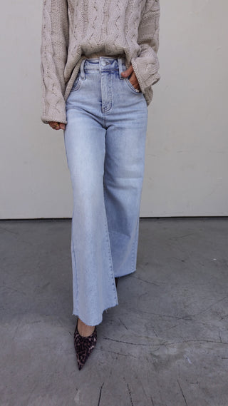 Light Wash High Rise Wide Leg Denim