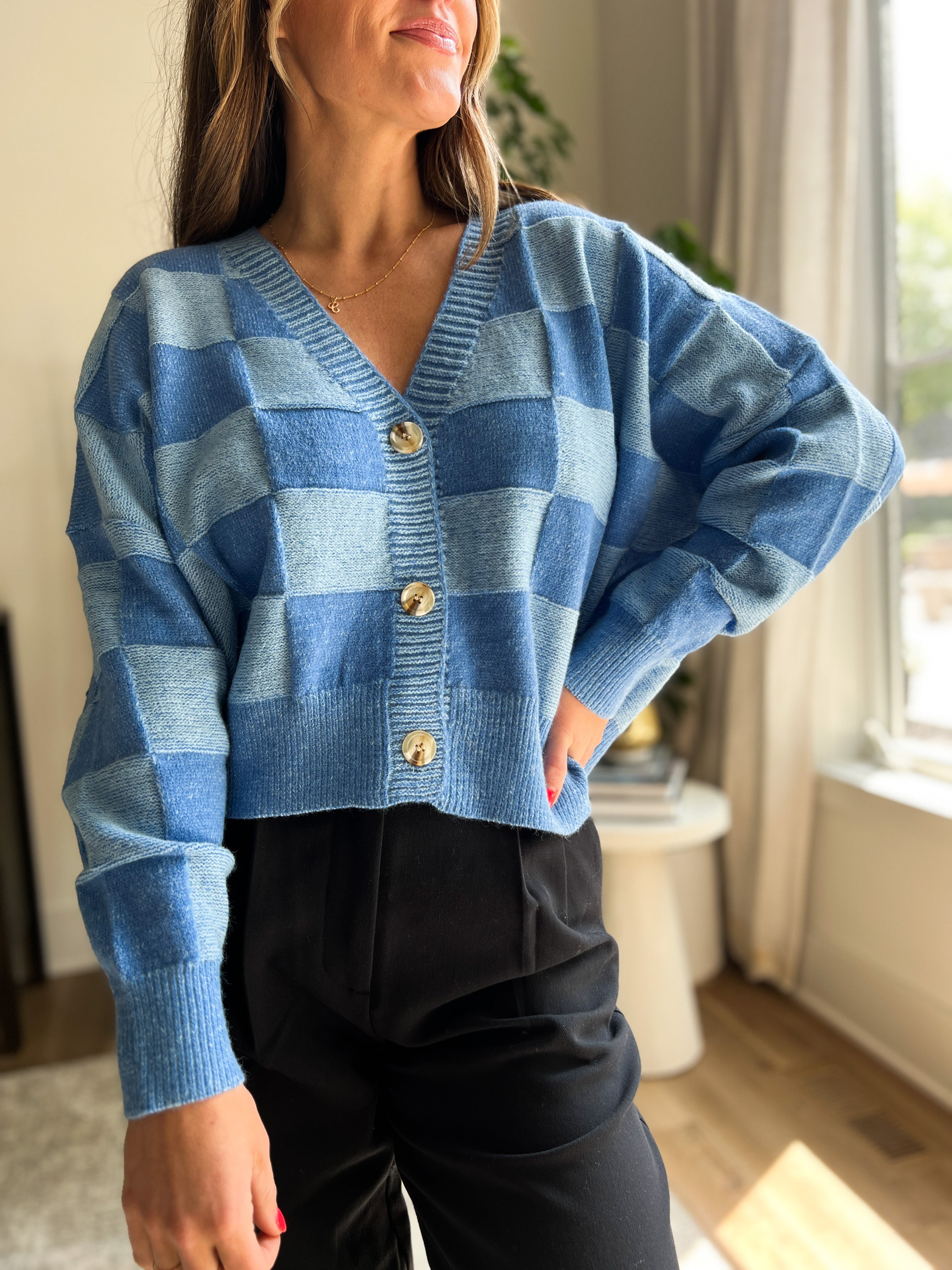 The Blue Checkered Cardigan